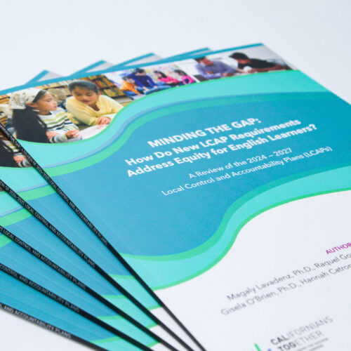 LCAPs | Minding the Gap